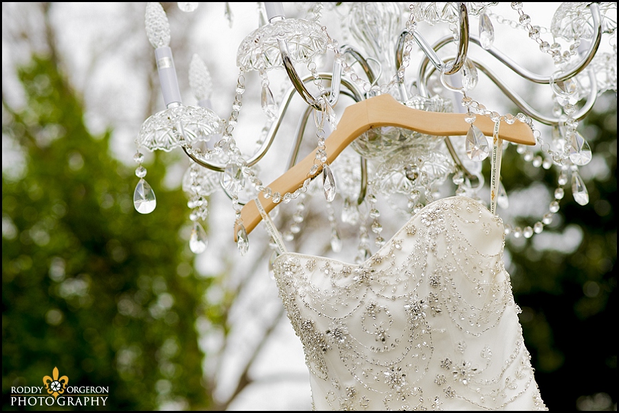 Brides dress hanging in tree
