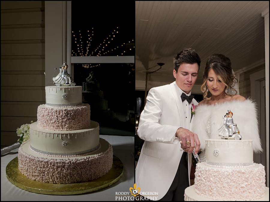 bride and groom cake cut