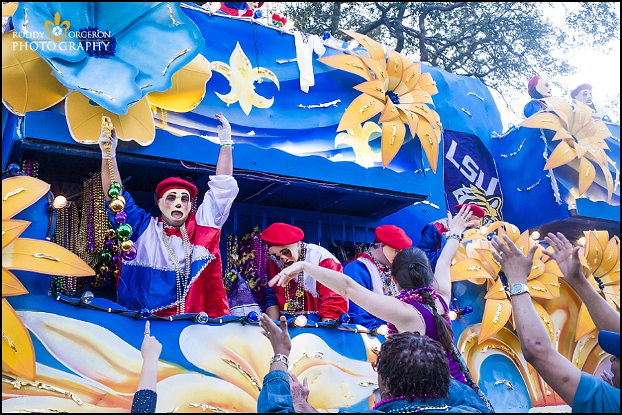 Endymion 2014 - New Orleans photographers