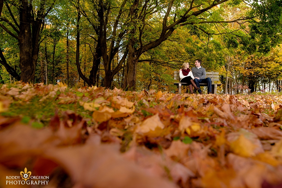 Couple on bench in Park