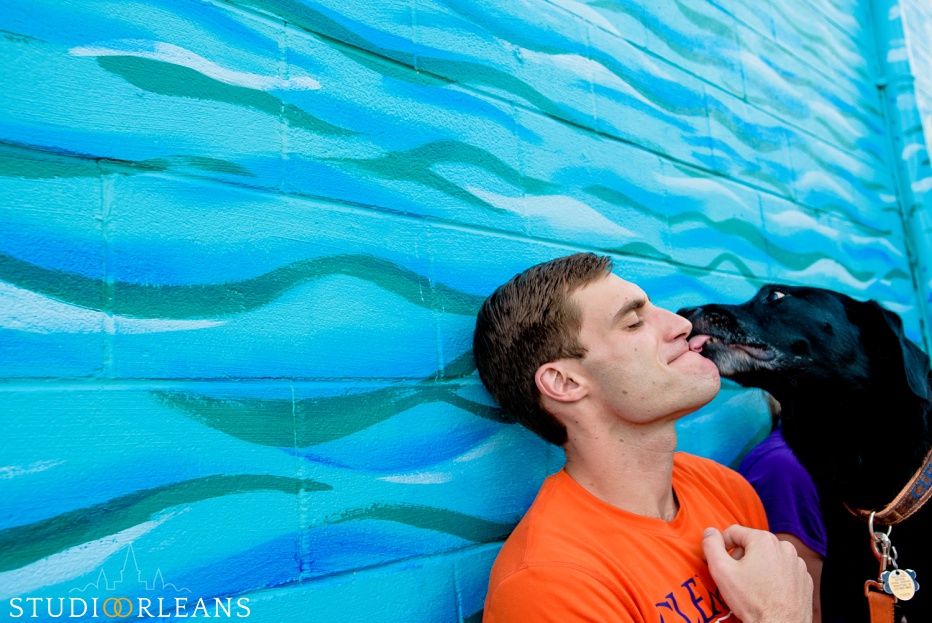 Engaged couple dogs licks client on face