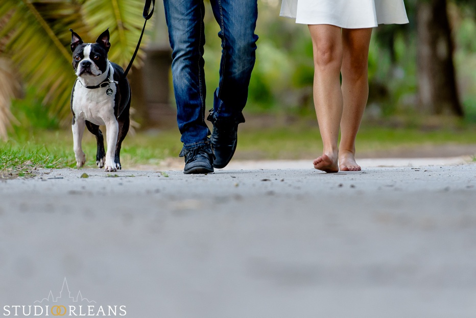 City Park Engagement Session in New Orleans with a couple and their cute dog Taz walking under the amazing Oak trees