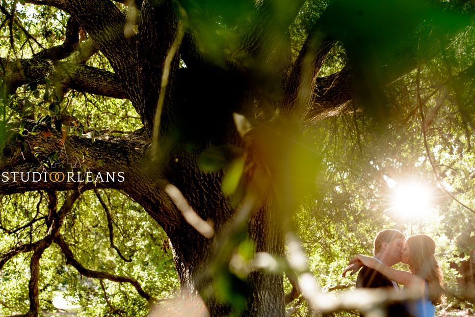 Engagement Session in City Park by the beautiful Oak trees in the background and sun flare 