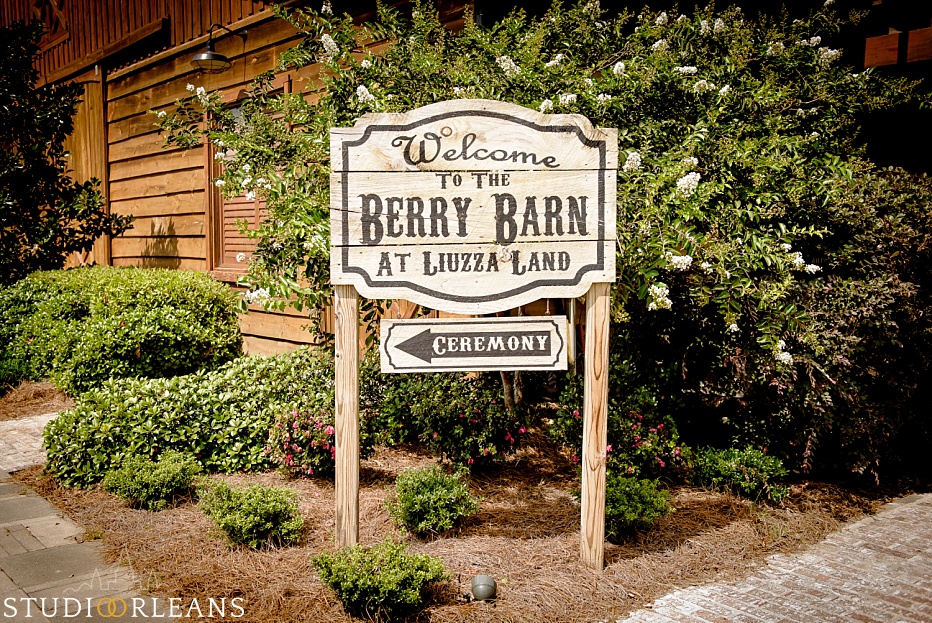 The Berry Barn Archives My Blog